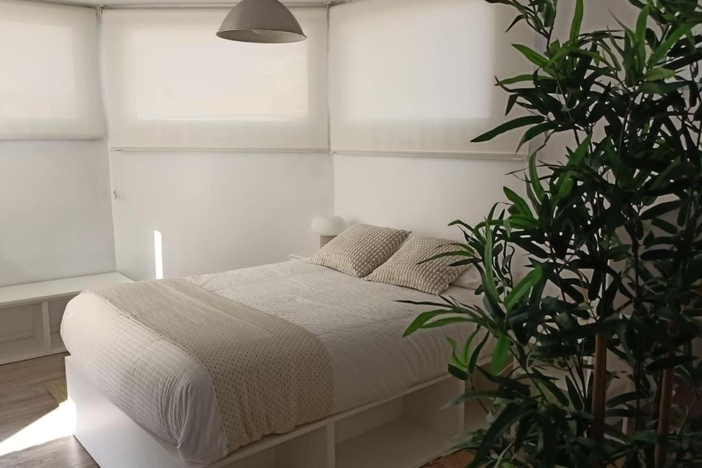 Salitre Malaga Center Apartment ภายนอก รูปภาพ